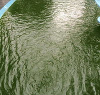 Friendly Pool  Spa Care - Petrol Stations