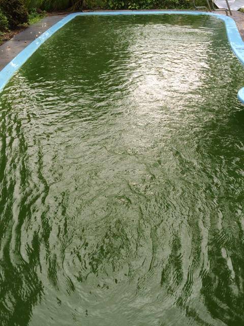Friendly Pool & Spa Care - Petrol Stations 0