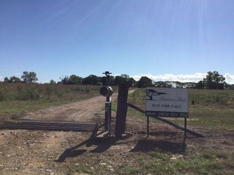 Poinciana Park Fodder Production - Renee 0