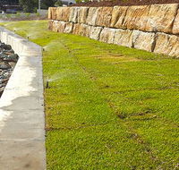 Yamba Pumps  Irrigation - Renee