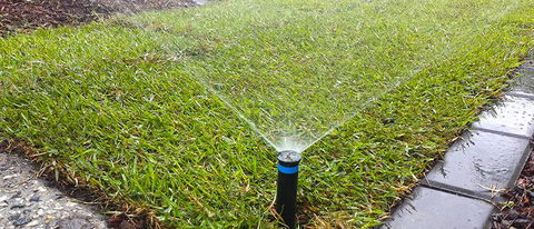 Yamba Pumps & Irrigation - Swimm 2