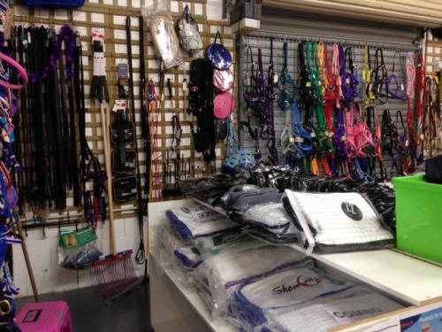 Saddlers Riding Outfitters Kempsey NSW Qld Realsetate