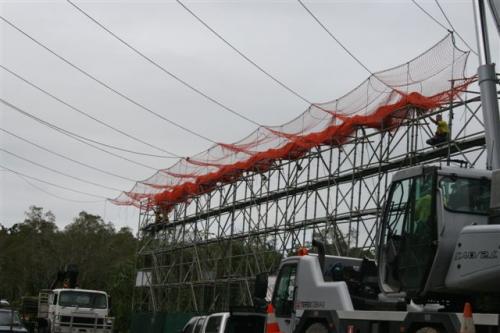 Dvd Video Hire Gordonvale QLD Renee