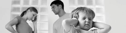 East Coast Family Lawyers - Renee 0