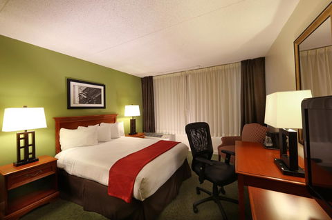 Holiday Inn Athens - University Area - Renee 19