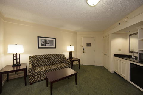 Holiday Inn Athens - University Area - Renee 26