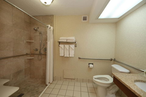 Holiday Inn Athens - University Area - Renee 32