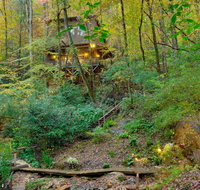 Bear Creek Lodge  Cabins- Pet Friendly