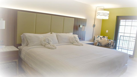 Holiday Inn Express & Suites Helen - Swimm 4