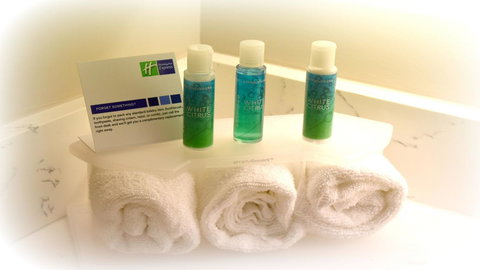 Holiday Inn Express & Suites Helen - Swimm 10