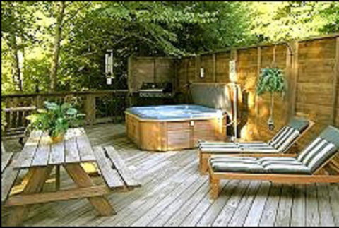 Black Forest River Cabin - Swimm 5