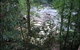 Black Forest River Cabin - thumb 2