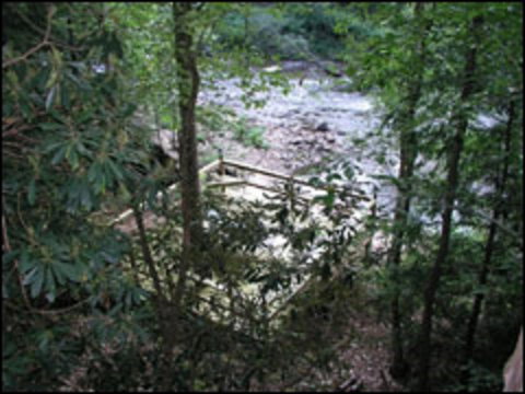 Black Forest River Cabin - Swimm 2