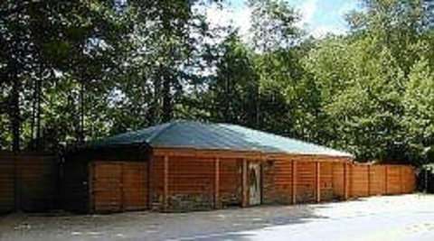 Black Forest River Cabin - Swimm 1