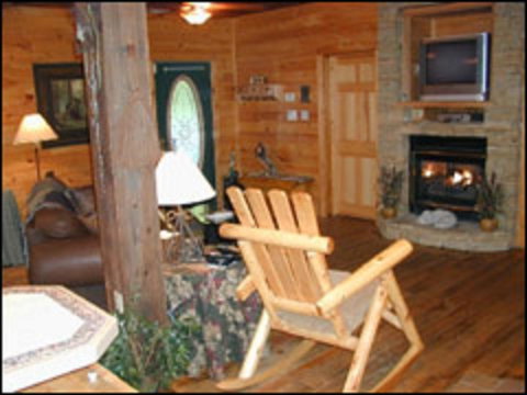 Black Forest River Cabin - Swimm 8