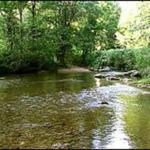 Black Forest River Cabin - Swimm 3