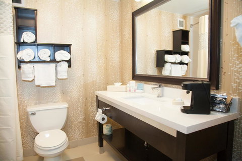 Hampton Inn & Suites Alpharetta-Windward - Renee 18