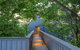 Unicoi State Park & Lodge - thumb 14