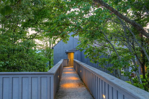 Unicoi State Park & Lodge - Swimm 14