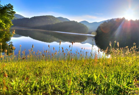 Unicoi State Park & Lodge - Swimm 11