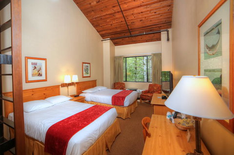 Unicoi State Park & Lodge - Swimm 6