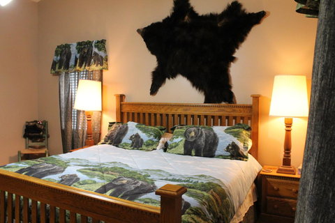 Babbin's Mountain House - Swimm 24
