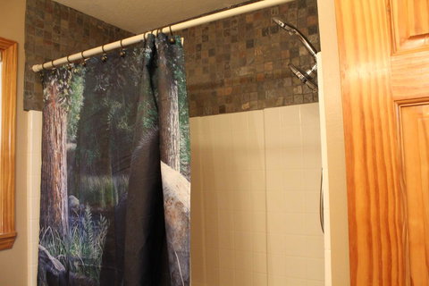 Babbin's Mountain House - Swimm 31