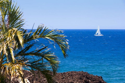 13A Halii Kai - Renee 1