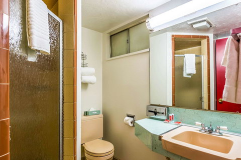 Econo Lodge Idaho Falls - Renee 22