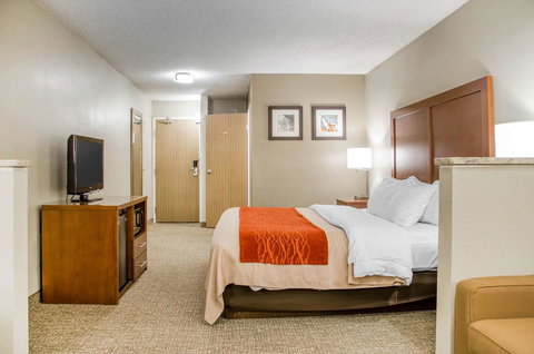 Comfort Inn Idaho Falls - Renee 18