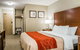 Comfort Inn Idaho Falls - thumb 7