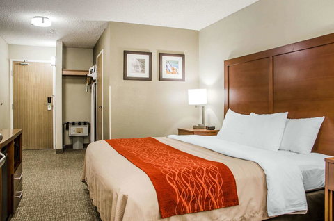 Comfort Inn Idaho Falls - Renee 7