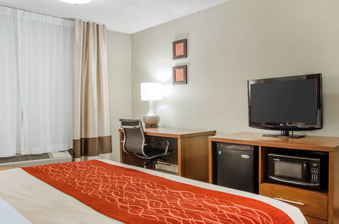 Comfort Inn Idaho Falls - Renee 28