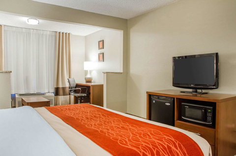 Comfort Inn Idaho Falls - Renee 5