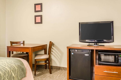 Comfort Inn Idaho Falls - Renee 26