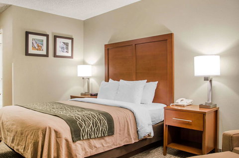 Comfort Inn Idaho Falls - Renee 10