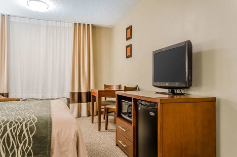 Comfort Inn Idaho Falls - Renee 15
