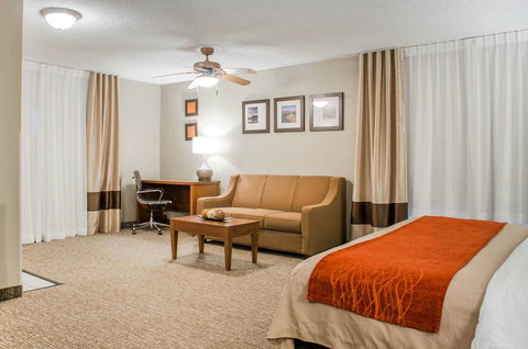 Comfort Inn Idaho Falls - Renee 14