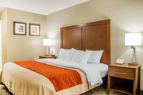 Comfort Inn Idaho Falls - Renee 11