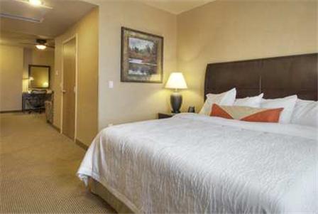 Hilton Garden Inn Twin Falls - Internet Find 35