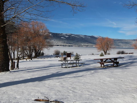 Chandler Mountain View Cottage - Swimm 4
