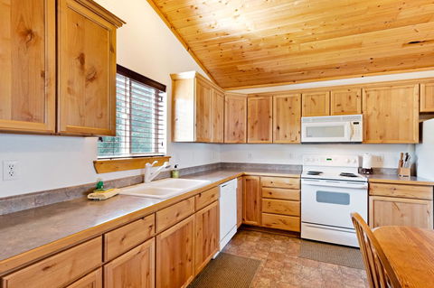 Country Bear Getaway - Internet Find 10