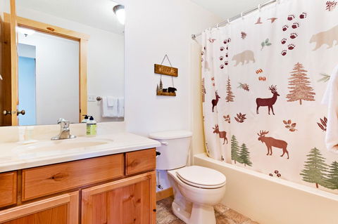 Country Bear Getaway - Internet Find 28