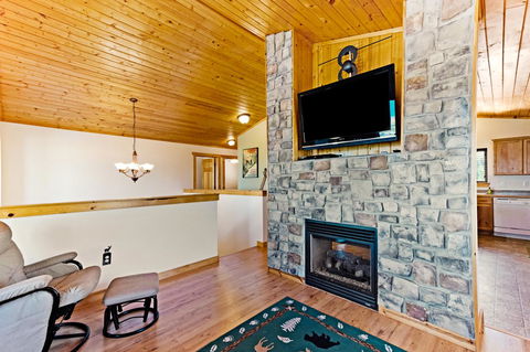 Country Bear Getaway - Internet Find 7