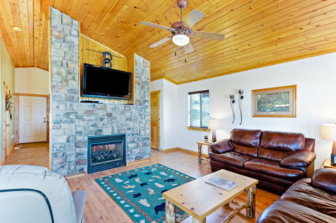 Country Bear Getaway - Internet Find 6