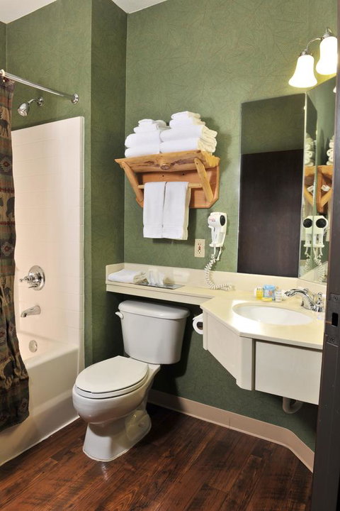 Stoney Creek Hotel & Conference Center - Moline - Renee 14