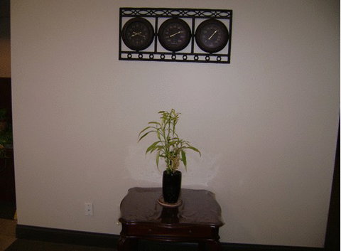 Fairway Inn Florence - Renee 22