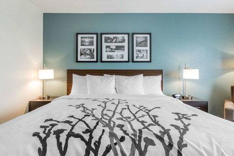 Sleep Inn & Suites West Des Moines Near Jordan Creek - Internet Find 28