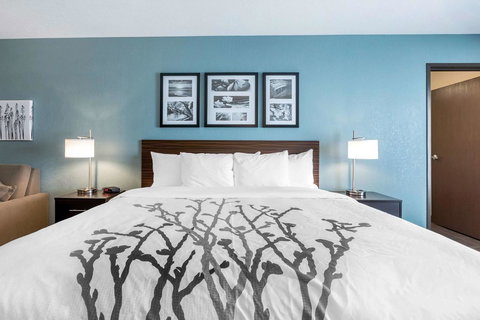 Sleep Inn & Suites West Des Moines Near Jordan Creek - Internet Find 26