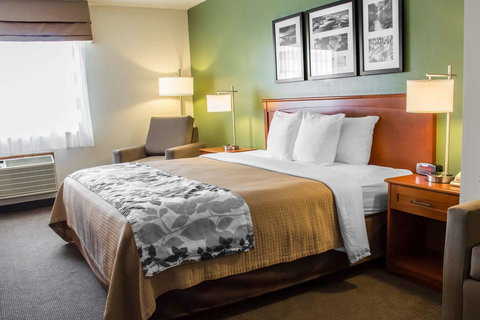 Sleep Inn & Suites Charles City - Renee 21